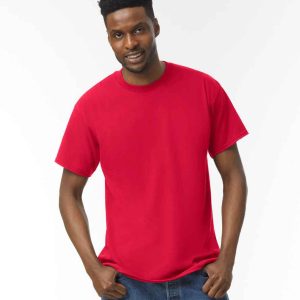 Heavy Cotton adult t-shirt