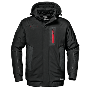 Dolphin Softshell