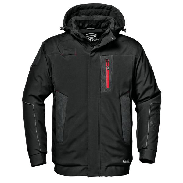 Dolphin Softshell