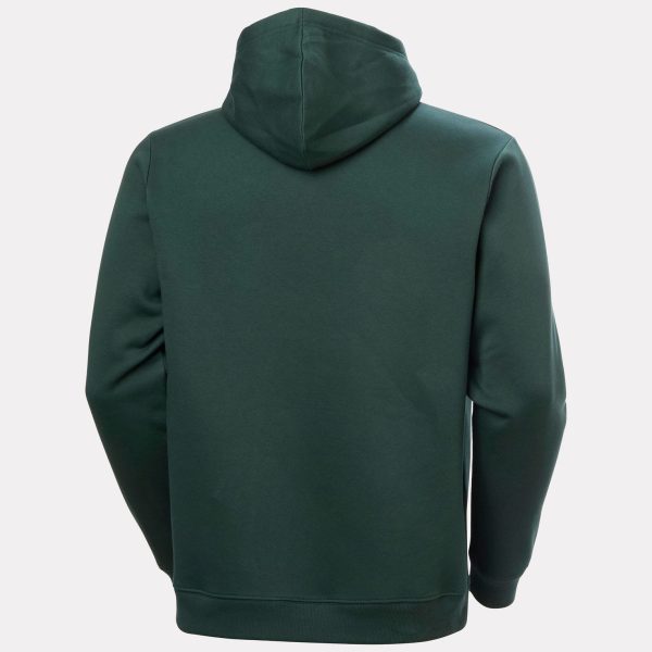 Helly Hansen Classic 2.0 hoodie